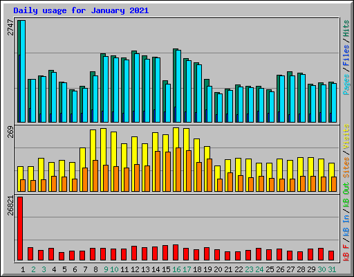 Daily usage for January 2021