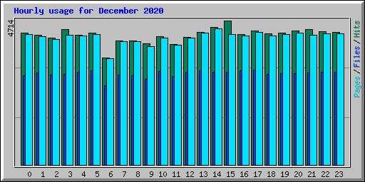 Hourly usage for December 2020