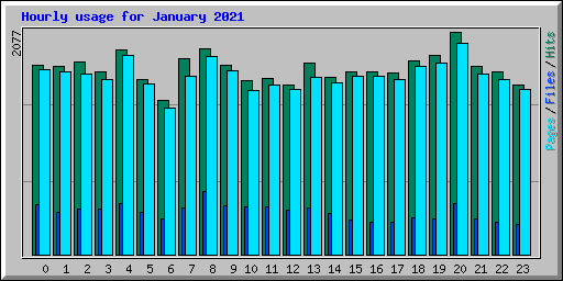 Hourly usage for January 2021