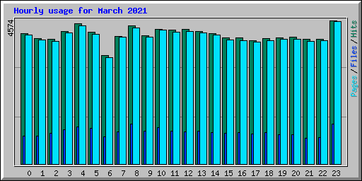 Hourly usage for March 2021