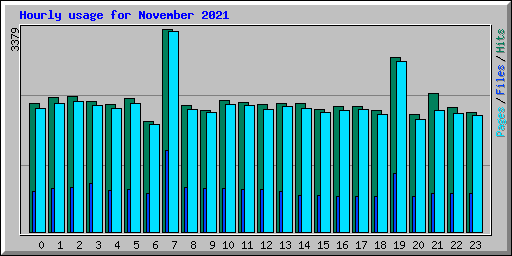 Hourly usage for November 2021